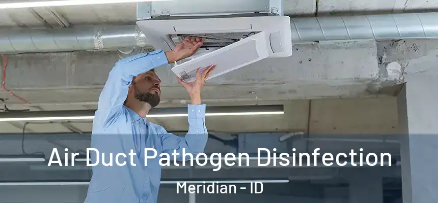  Air Duct Pathogen Disinfection Meridian - ID