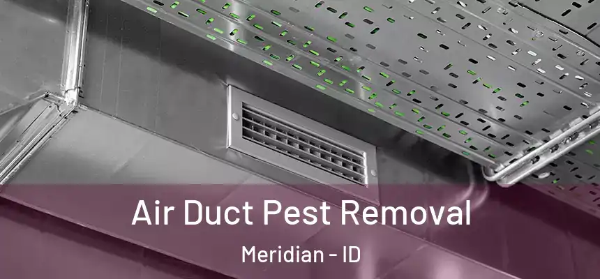  Air Duct Pest Removal Meridian - ID