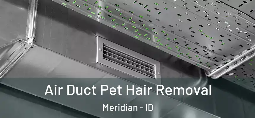  Air Duct Pet Hair Removal Meridian - ID