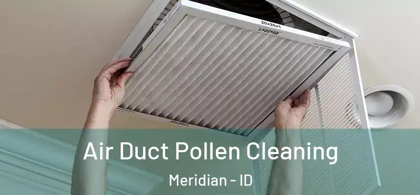 Air Duct Pollen Cleaning Meridian - ID
