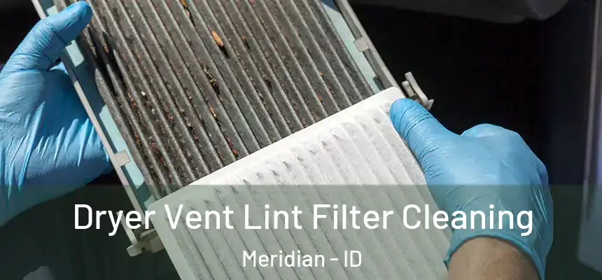  Dryer Vent Lint Filter Cleaning Meridian - ID