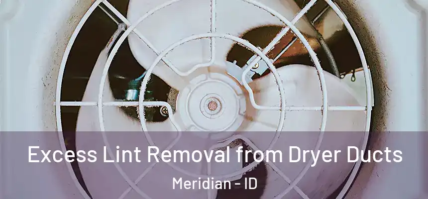 Excess Lint Removal from Dryer Ducts Meridian - ID
