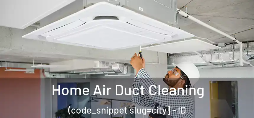  Home Air Duct Cleaning (code_snippet slug=city] - ID