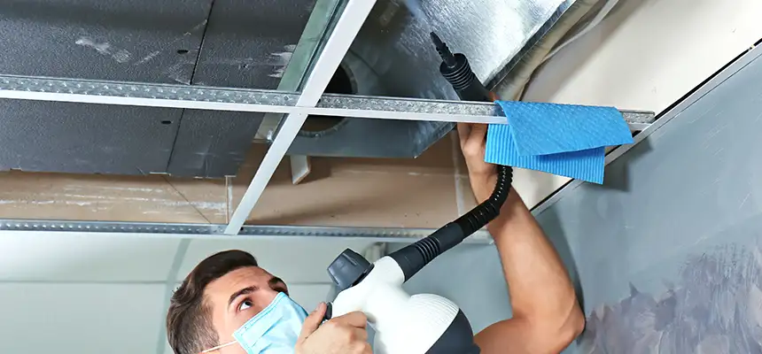 Our Air Duct Rodent Removal Services in Meridian, ID