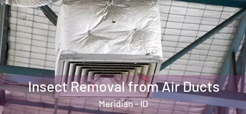  Insect Removal from Air Ducts Meridian - ID