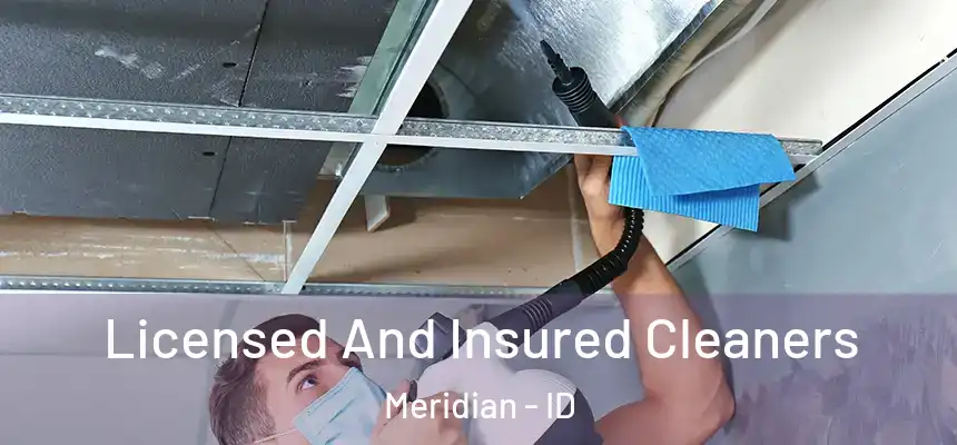 Licensed And Insured Cleaners Meridian - ID