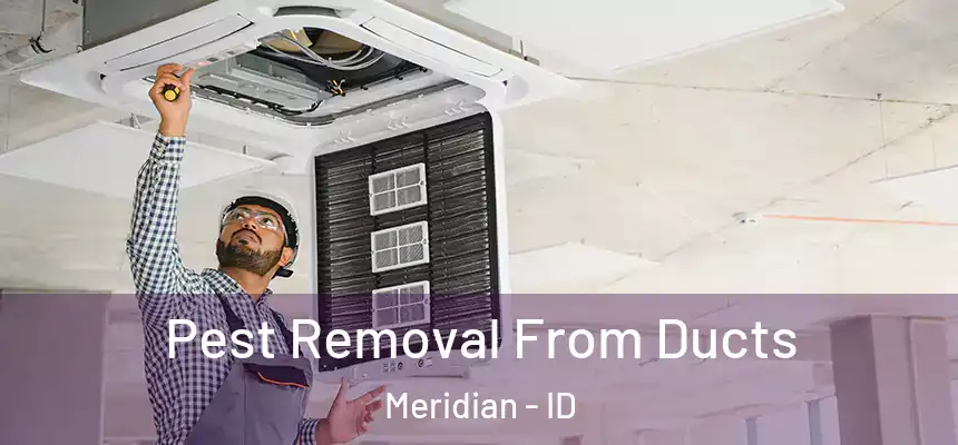  Pest Removal From Ducts Meridian - ID