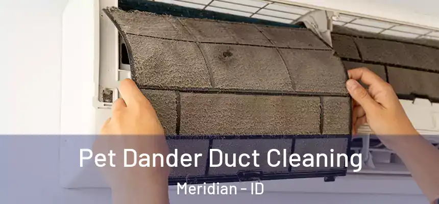  Pet Dander Duct Cleaning Meridian - ID