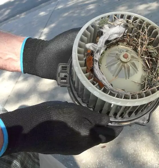 About Air Duct Mice Removal in Meridian, ID