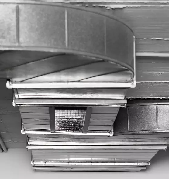 Professional Air Duct Pest Removal in Meridian, ID