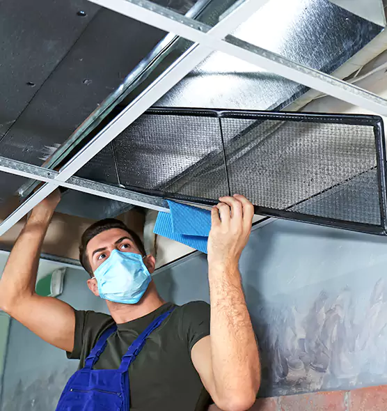 Professional Air Duct Pollen Cleaning in Meridian, ID