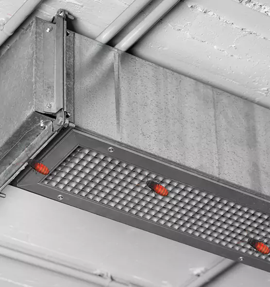 Affordable Insect Removal from Air Ducts in Meridian, ID