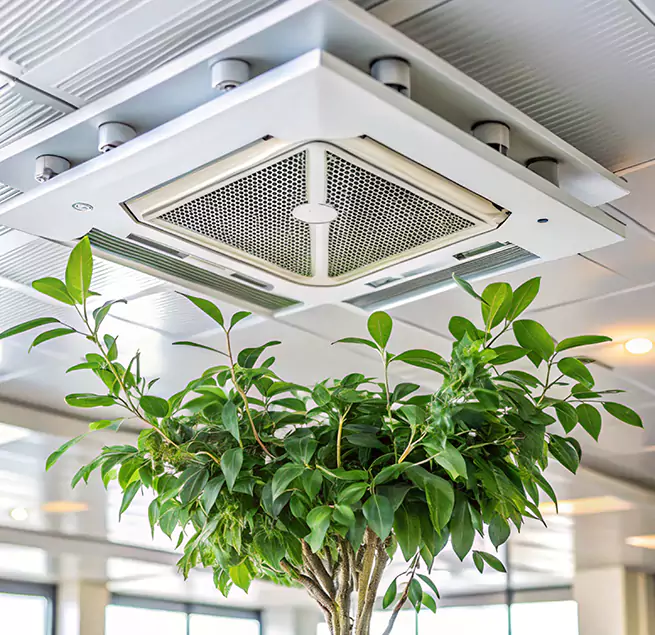 Why Homeowners & Businesses Trust Us in Meridian, ID?