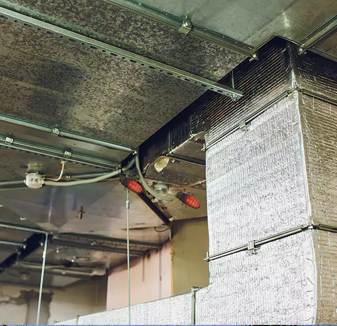 Why Homeowners & Businesses Trust Us Meridian, ID?