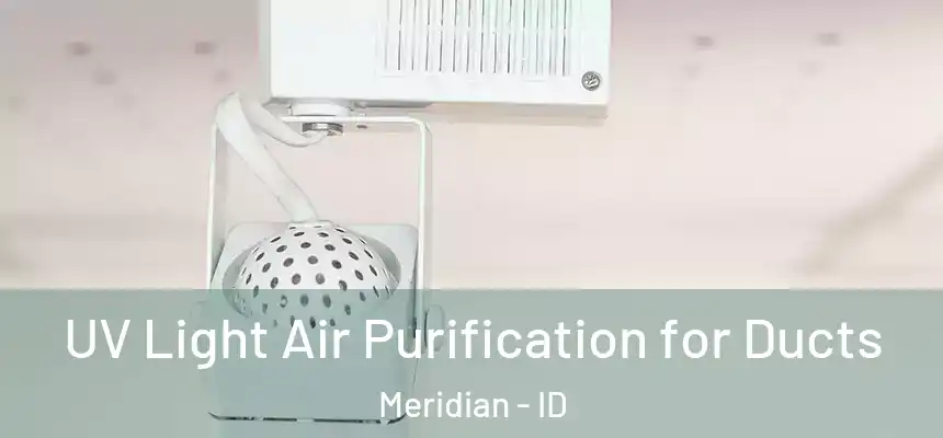  UV Light Air Purification for Ducts Meridian - ID